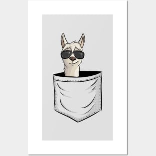 Casual Llama wit Sunglasses In Pocket Posters and Art